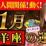 【山羊座】11月運勢❤️激変！人間関係！動く！楽しんでいっぱい開運するから！お願い！休息とって！！！愛/仕事/金運/人間関係/健康✨