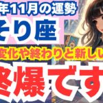 【蠍座】2024年11月のさそり座の運勢を夢流星がタロット占い＆占星術で読み解く！自己変革と成長がテーマの月！【スピリチュアル】