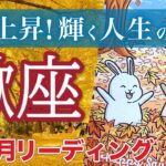 【蠍座11月運勢🍁】金運急上昇💰我慢・努力の成果が実る転換期❗️仕事運・人間関係運・恋愛運・金運［タロット/オラクル/風水］