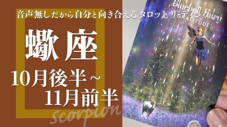 【さそり座】役目を終えたから離れる・気づくための時間★2024年10月後半から11月前半★タロットリーディング【音声なし】【蠍座】