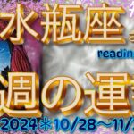 ♒️水瓶座さん特化型💕【今週の運勢】イヨイヨ11月です✊reading＆talk『近況と本当のムダ話し』#25