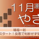 【やぎ座】2024年11月の運勢 禍福一如　新たなスタート、良し悪しで判断せず学びから【タロット】