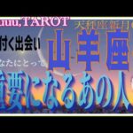 自分と他人とのバランス⚖山羊座♑️さん【天秤座新月🌚〜これからあなたにとって重要になるあの人とは⁉️】#2024 #星座別 #タロット占い