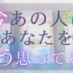 今あの人はあなたをどう思ってる？あの人の気持ち 【恋愛・タロット・オラクル・占い】