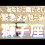 獅子座♌️今、あなたに届いている緊急メッセージ✨〜見た時がタイミングTimeless reading〜タロット&オラクルカードリーディング#カードリーディング #占い