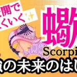 【蠍座⭐️11月】最強の未来のはじまり！あなたが主役☆自分全開でうまくいく！【目醒めるカードリーディング.2024運勢】