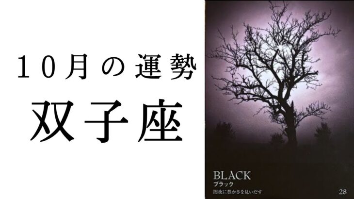 【双子座🌙10月の運勢】カードからの深すぎるメッセージが😭✨今確実に流れが来てます！！2024年タロット占い