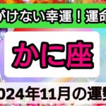 蟹座【2024年11月の運勢】思いがけない幸運！運命の時💖神秘的メッセージ👑幸せを呼び込む！開運リーディング🌟