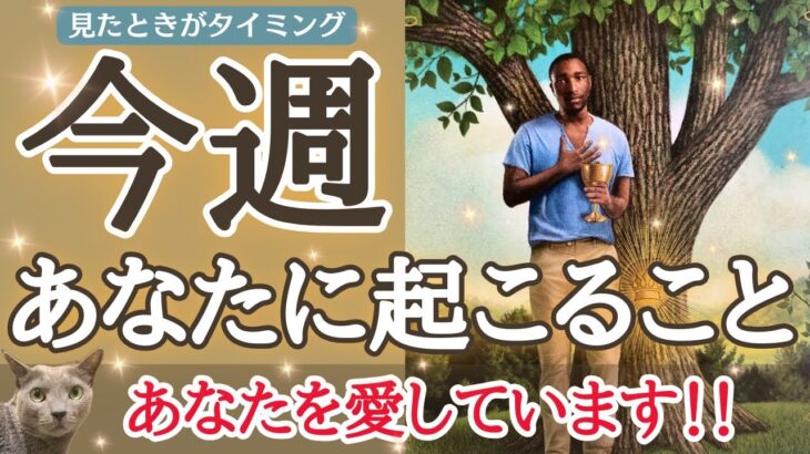 あなたへ想いを伝えたい方が動いてきます❤️😆個人鑑定級深掘り✨「今週あなたに起こること」見た時がタイミングです🙌🌈［占い/タロット/ルノルマン/オラクルカード/恋愛/仕事/潜在意識/龍神］