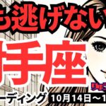 【射手座】♐️2024年10月14日の週♐️逃げない私。明るい未来と素敵な人がやってくる。タロット占い。いて座