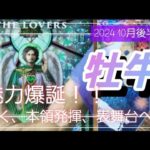 【10月後半🍀】牡牛座さんの運勢🌈魅力爆誕！！耀いて本領発揮、そして表舞台で活ていく✨✨✨素晴らしい😳💛