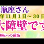 【水瓶座】 2024年11月1日から30日までのみずがめ座の運勢。星とタロットで読み解く未来 #水瓶座 #みずがめ座