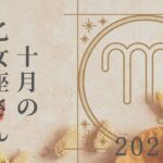 【乙女座さん♍︎】2024年10月の星座リーディング🌸🫧