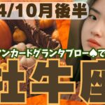 ❤️🕊️【おうし座♉さん】🌄《10月16日～10月31日》10月後半リーディング🌱2024年12星座別🔮牡牛座運勢✨♠ルノルマンカードグランタブロー♠タロットカード・オラクルカードもみていきましょう🔮