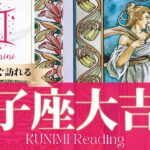 双子座♊権力者から認められ事態好転する大吉兆🌝もうすぐ訪れる大吉兆🌝どんな大吉兆が🌝いつ頃訪れる？🌝月星座ふたご座さんも🌟タロットルノルマンオラクルカード