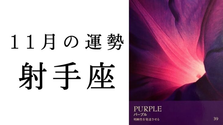 【射手座🍁11月の運勢】いて座の進化が止まらない‼︎😳可能性の拡大期突入🌈✨2024年タロット占い