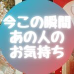 🌈今この瞬間あの人のお気持ち🌈【🔮ルノルマン＆タロット＆オラクルカードリーディング🔮】（忖度なし）