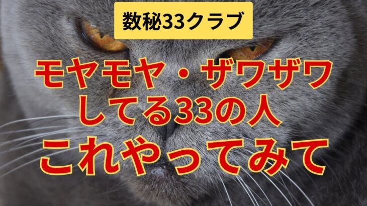 【数秘33クラブ】モヤモヤ・ザワザワしてるとき未来数を参考にしてみて