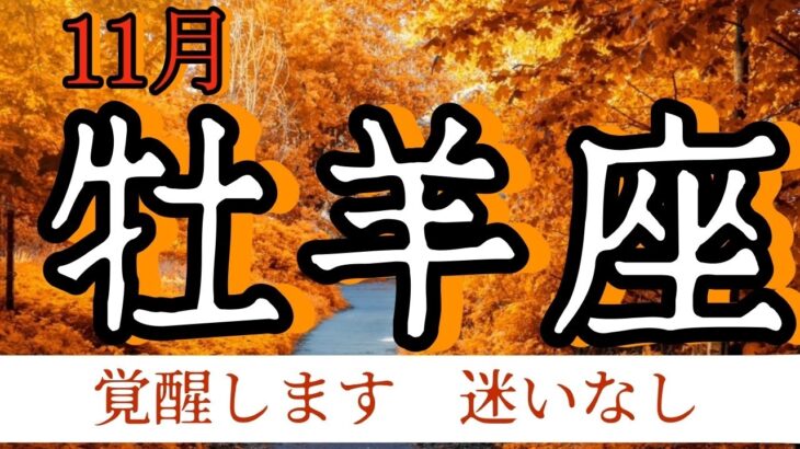 牡羊座　2024年11月　あなたの居場所　暖かい場所