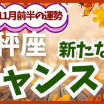 【天秤座】2024年11月前半のてんびん座の恋愛運・金運を占星術とタロットで占います。〜新たなチャンス！〜