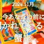 🌄蟹座🌄憧れの生活に近づいていける時！どんな感情も味方につけて一緒に前へ！ #11月 #運勢 #占い #蟹座 #かに座 #仕事 #金運 #恋愛 #総合運 #タロット