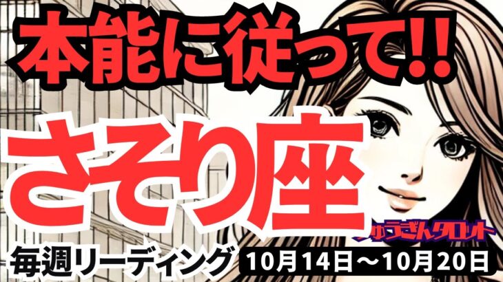 【蠍座】♏️2024年10月14日の週♏️本能に従って。ストイックな努力がチャンスを運んでくる。タロット占い。さそり座