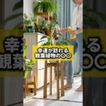 幸運が訪れる観葉植物の〇〇#風水 #金運 #金運アップ #建築 #八納啓創