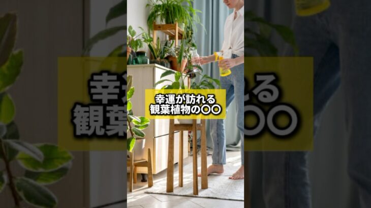 幸運が訪れる観葉植物の〇〇#風水 #金運 #金運アップ #建築 #八納啓創