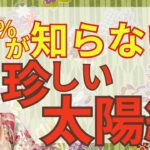 【信頼が金運を呼ぶ手相】幸せを掴む、運が良い手相と言えば太陽線！みんなが知らない太陽線をご紹介！