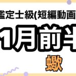 蠍座、全部が大大大大吉運！こんなに整うって凄すぎますよ！超細密✨怖いほど当たるかも知れない😇#星座別#タロットリーディング#蠍座