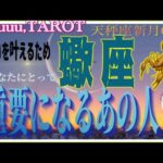 力と守りのバランス💪蠍座♏️さん【天秤座新月🌚〜これからあなたにとって重要になるあの人とは⁉️】#2024 #星座別 #タロット占い