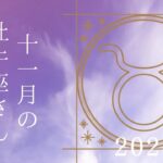 【牡牛座さん♉︎】2024年11月の星座リーディング🌸🫧周りを頼って！