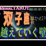 自立して自分の願いを叶えよう💓双子座♊️さん【蠍座新月🌚〜今なら出来る❣越えていく壁どう越えていくか】#2024 #星座別 #タロット占い