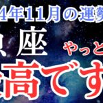 【魚座】2024年11月　うお座さんの運勢を占星術とタロットで占います！