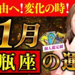 【水瓶座】11月運勢❤️激変！あなたが変わる時がキタ！愛！平和！自由へ！そして自分を愛する！母への想いが今まさに！！！愛/仕事/金運/人間関係/健康✨