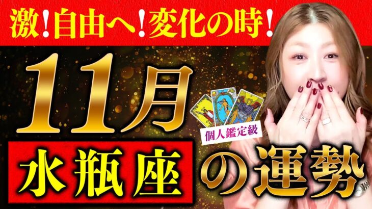 【水瓶座】11月運勢❤️激変！あなたが変わる時がキタ！愛！平和！自由へ！そして自分を愛する！母への想いが今まさに！！！愛/仕事/金運/人間関係/健康✨