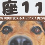 【魚座2024年11月御縁】貴方の心の声に耳を傾け行動すれば状況は一変！大きな理想も夢じゃなく掴めます！いつもご視聴頂き有難うございます😊