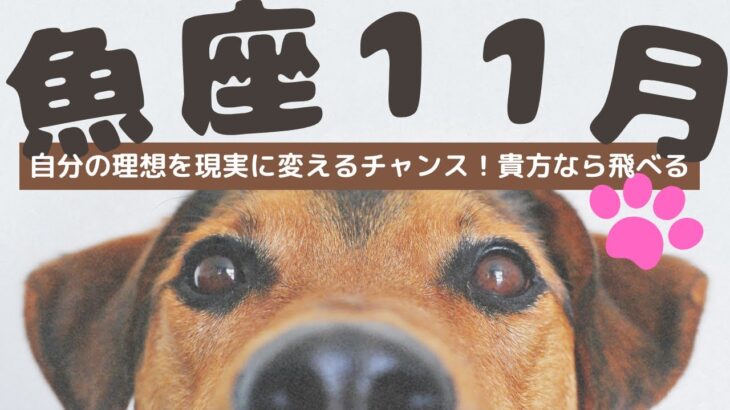 【魚座2024年11月御縁】貴方の心の声に耳を傾け行動すれば状況は一変！大きな理想も夢じゃなく掴めます！いつもご視聴頂き有難うございます😊