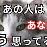 あの人にあなたの事を色々聞いてみた。ガチ❤️‍🔥恋愛タロット占い ルノルマン オラクルカード 個人鑑定級に深掘りリーディング