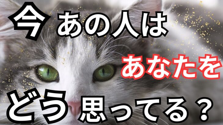 あの人にあなたの事を色々聞いてみた。ガチ❤️‍🔥恋愛タロット占い ルノルマン オラクルカード 個人鑑定級に深掘りリーディング