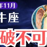 【牡牛座】2024年11月おうし座、突破不可能な壁が迫る！全てを失う恐怖にどう立ち向かう？