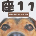 【蟹座2024年11月飛翔】本能の赴くままに生きる好調月！新しい自分の世界で目覚める秋！楽しい♪いつもご視聴頂き有難うございます😊