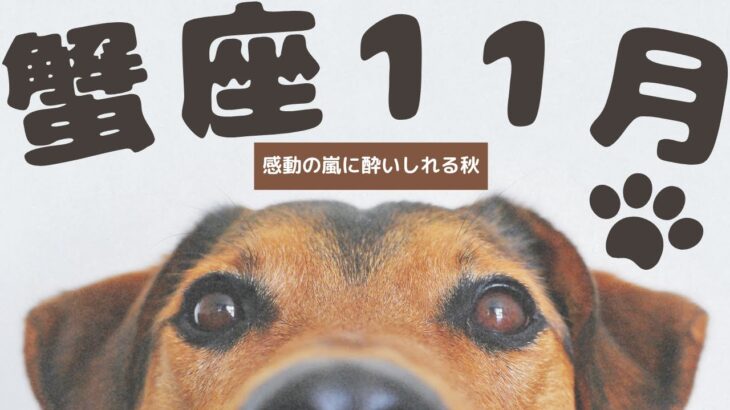 【蟹座2024年11月飛翔】本能の赴くままに生きる好調月！新しい自分の世界で目覚める秋！楽しい♪いつもご視聴頂き有難うございます😊