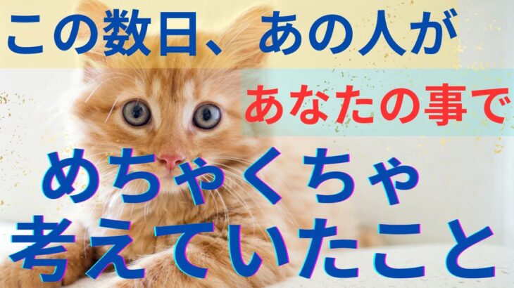 この数日あの人があなたの事でめちゃくちゃ考えていたこと❤️恋愛タロット占い ルノルマン オラクルカード 細密リーディング