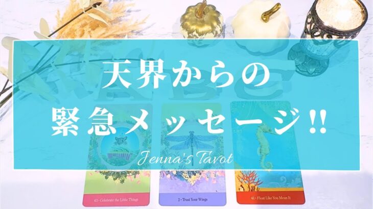 緊急です‼️【タロット】天界から今のあなたへのメッセージ💫【オラクルカード】人生・夢・悩み・迷い・仕事・目標・未来・人間関係・恋愛・出会い・カードリーディング・高次元