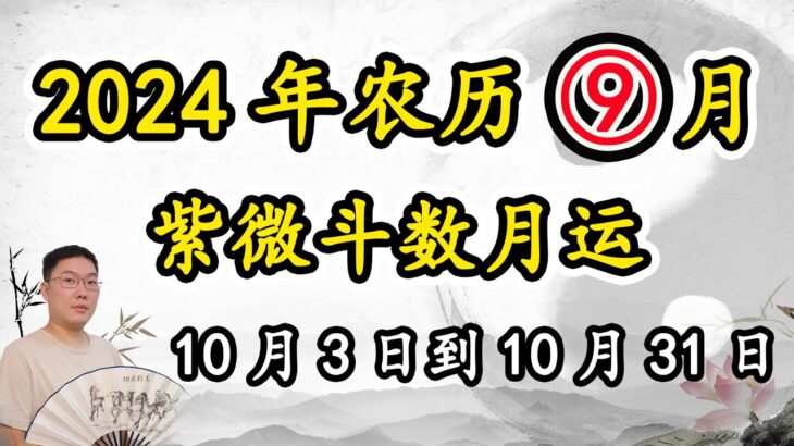 紫微斗数月运2024年10月3日到10月31日，阴历九月