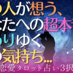 【恋愛タロット占い3択】あの人が想う、あなたへの気持ち・超本音。変わりゆく今の気持ち✨怖いほど当たる😄✨✨✨🌈✨🍃🌺✨✨✨