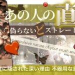 【辛めでもいい！そのまま言ってみ！】あの人の直情　どストレートな気持ち　遠慮せずに話してもらいました【タロット 恋愛】No.517