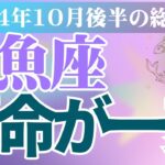 【魚座】2024年10月うお座の恋愛運、金運、健康運をタロットと占星術で鑑定