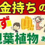 金運爆上がりする家にある観葉植物はコレ【風水アドバイザーがご紹介】